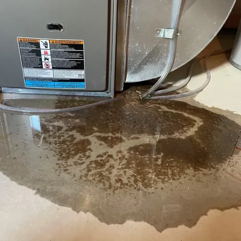 Appliance Leak Cleanup in Falmouth, ME